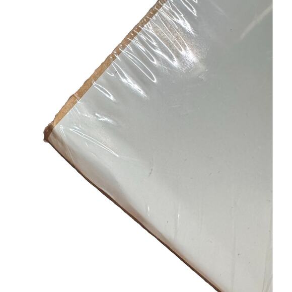 1999 Michael Cacy Mardi Gras Poster Sealed Alligator Accordion Laissez Les Bon - Picture 11 of 11